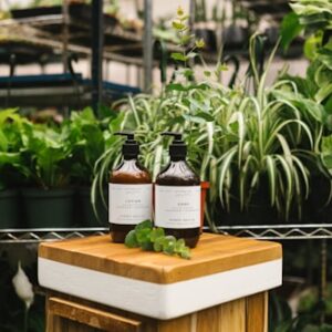 Holistic Wellness Bundle
